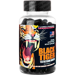 Black Tiger